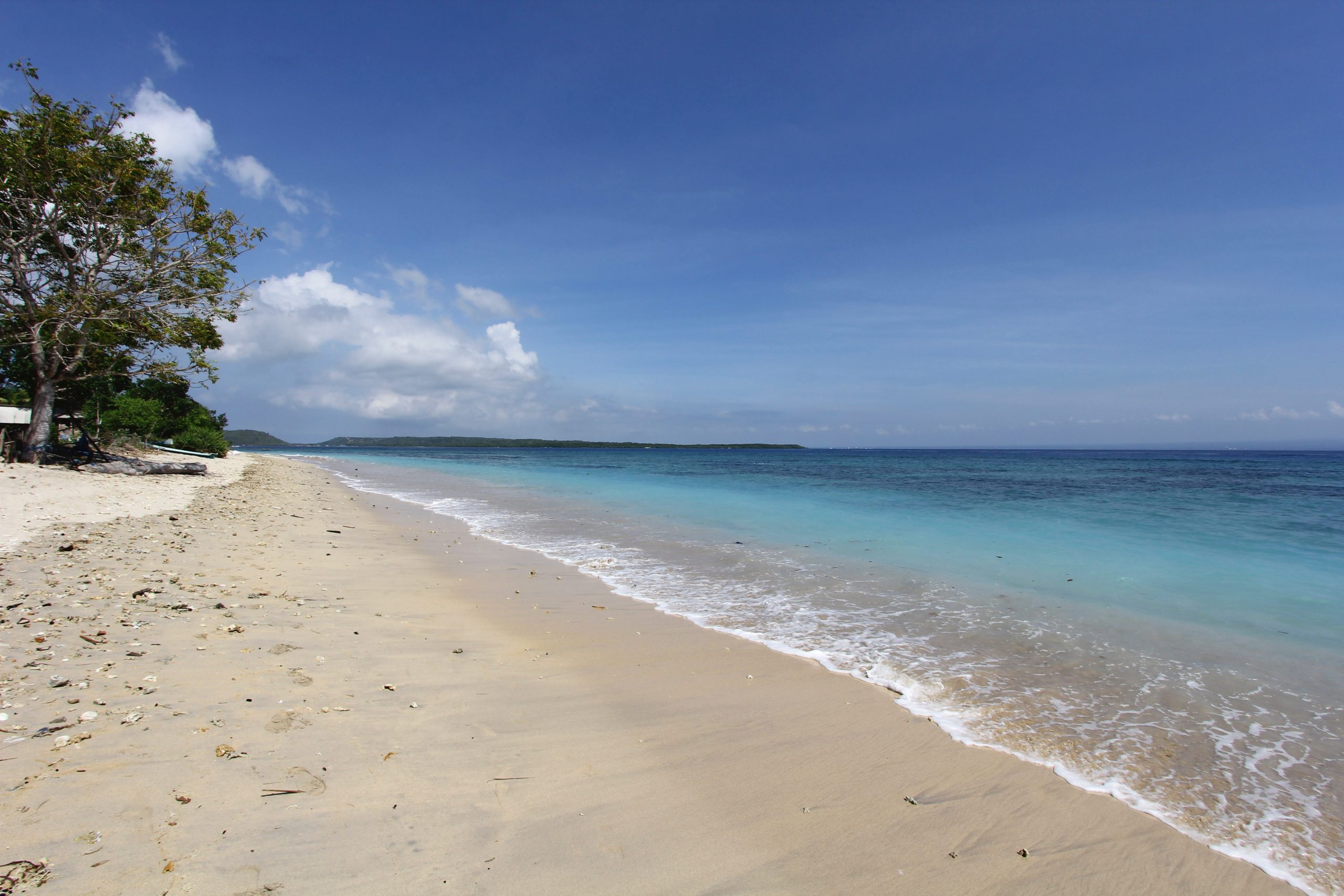 turtle-conservation_nusa-22-5184