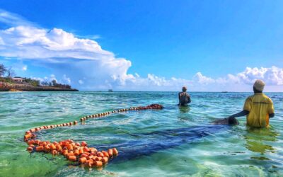 Zanzibar Sea Turtle Conservation, Tanzania