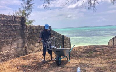 Zanzibar Sea Turtle Conservation, Tanzania