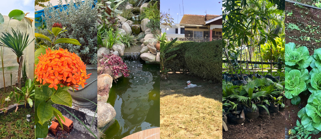 Sustainability Drive – Green Spaces