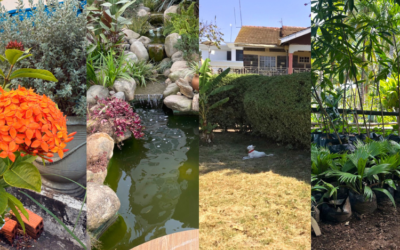 Sustainability Drive – Green Spaces