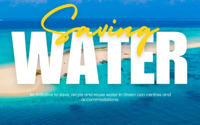 Sustainability Drive – Saving Water