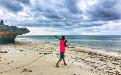 Zanzibar Sea Turtle Conservation, Tanzania