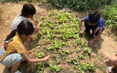 Greenway School Siem Reap, Cambodia