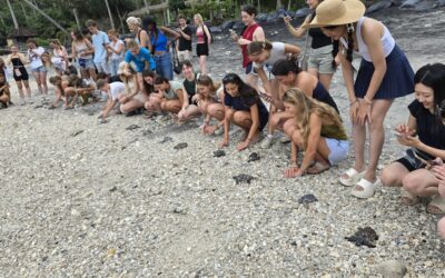 Nusa Penida Sea Turtle Conservation – Indonesia