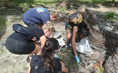 Palawan Mangrove Rehabilitation Philippines