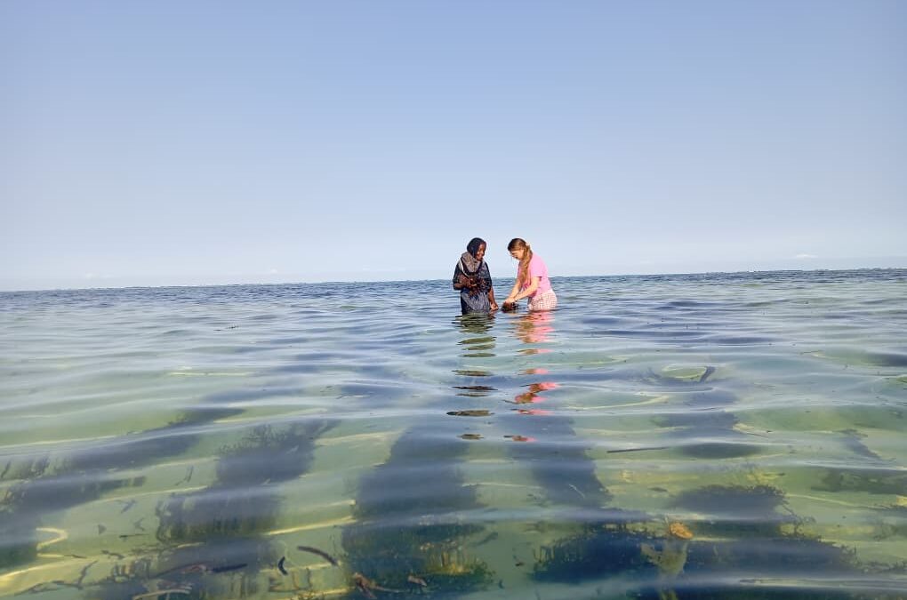 Zanzibar Sea Turtle Conservation – Tanzania