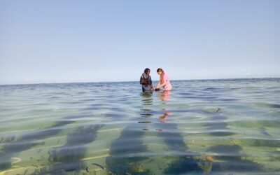 Zanzibar Sea Turtle Conservation – Tanzania