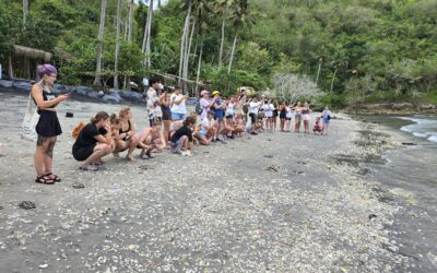 Nusa Penida Sea Turtle Conservation – Indonesia