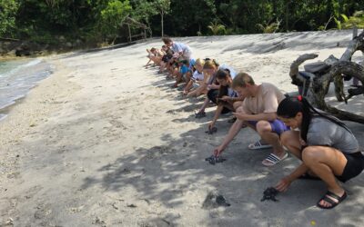 Nusa Penida Sea Turtle Conservation – Indonesia