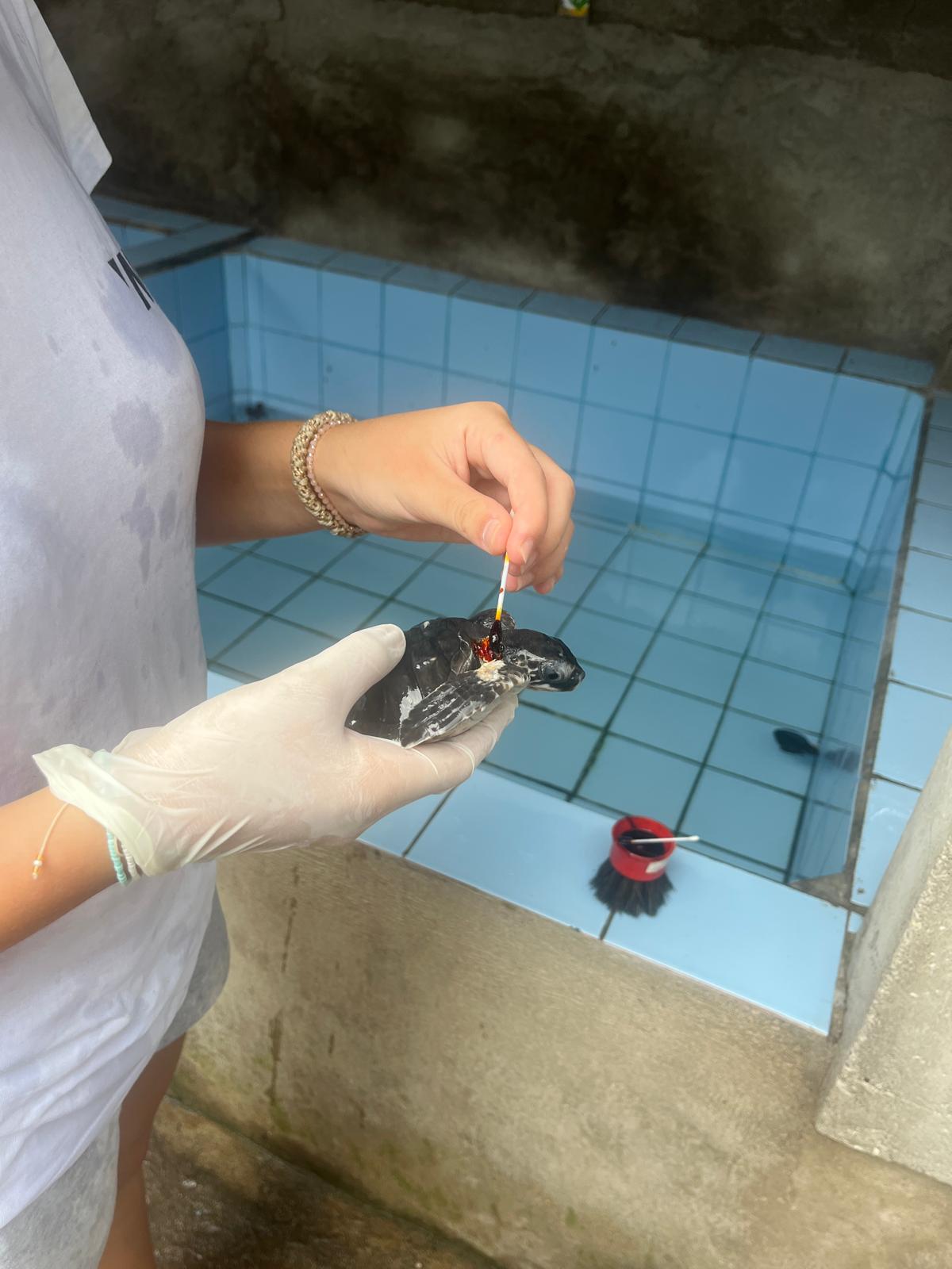 351CE502-D33A-42D7-B380-6F08FD679ADC - Andrei Ethem