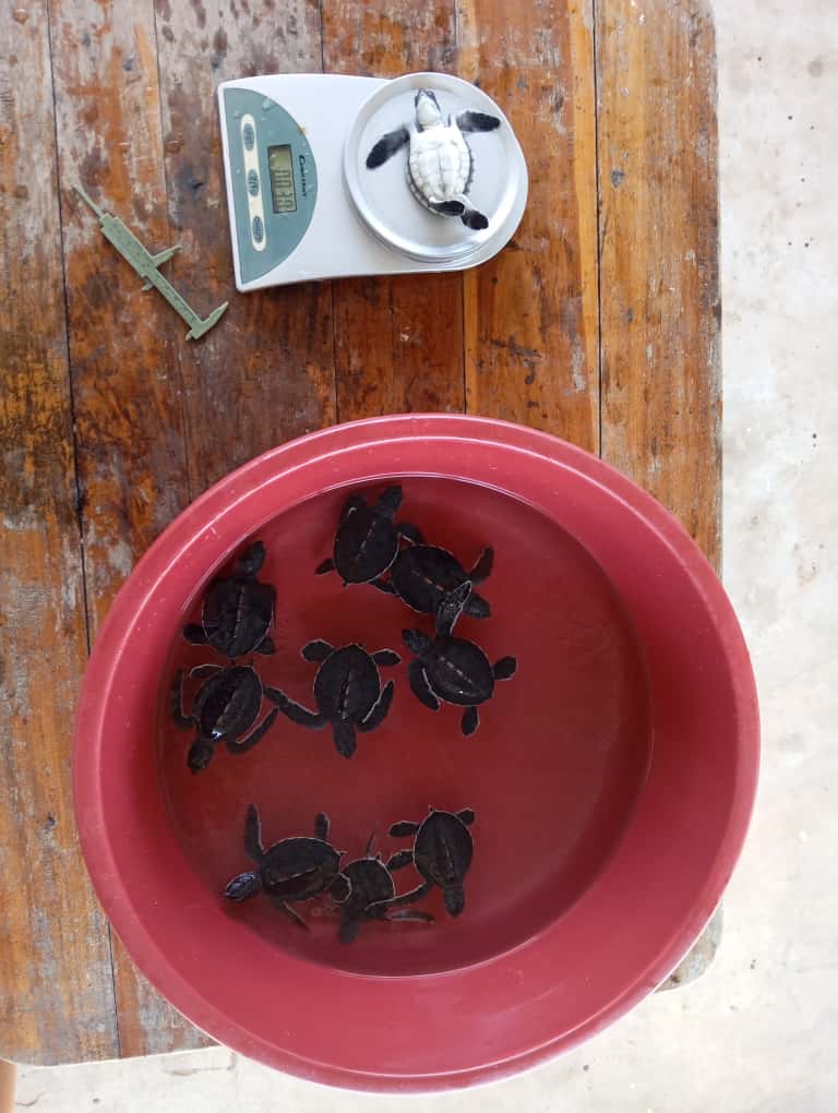 WhatsApp Image 2025-10-06 at 01.21.38_bccd22f0 - Ben Benja