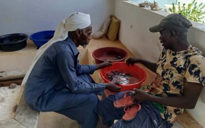 Zanzibar Sea Turtle Conservation – Tanzania